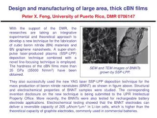 SEM and TEM images of BNNTs grown by SSP?LPP.
