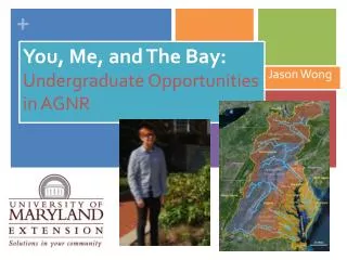You, Me, and The Bay: Undergraduate Opportunities in AGNR