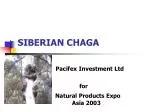 SIBERIAN CHAGA - slide 1