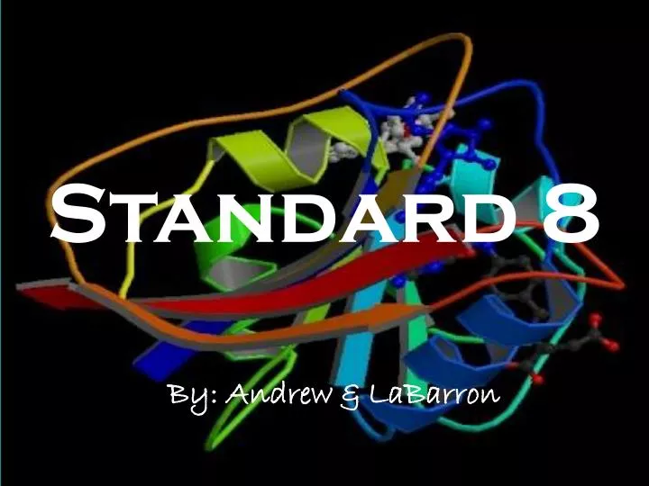 standard 8