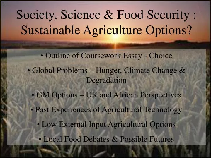 society science food security sustainable agriculture options