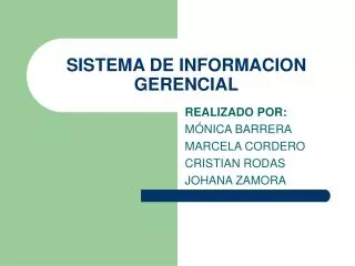 sistema de informacion gerencial