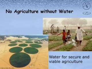 No Agriculture without Water
