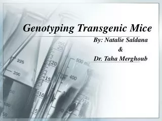 Genotyping Transgenic Mice