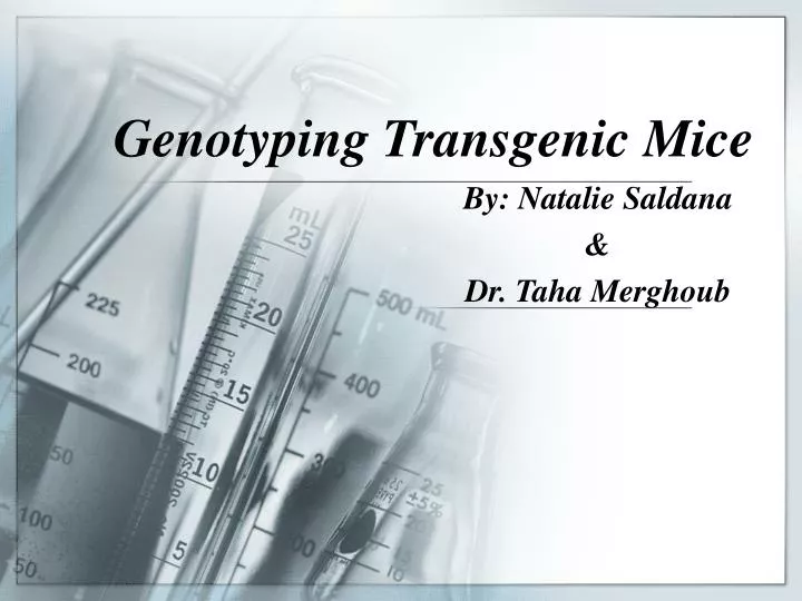genotyping transgenic mice