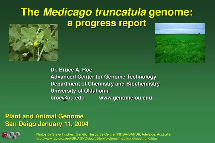 the medicago truncatula genome a progress report