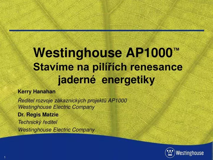 westinghouse ap1000 stav me na pil ch renesance jadern energetiky