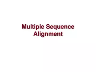 Multiple Sequence Alignment