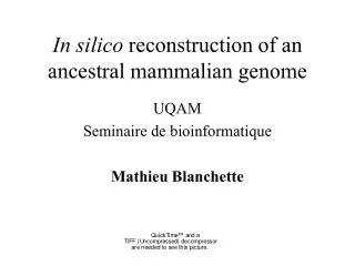 In silico reconstruction of an ancestral mammalian genome