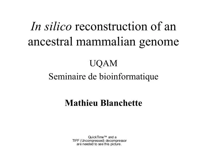 in silico reconstruction of an ancestral mammalian genome