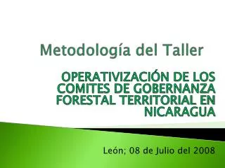 metodolog a del taller