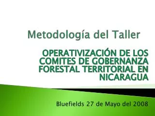 metodolog a del taller