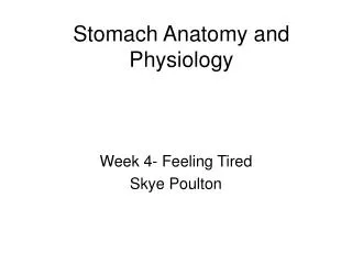 Stomach Anatomy and Physiology