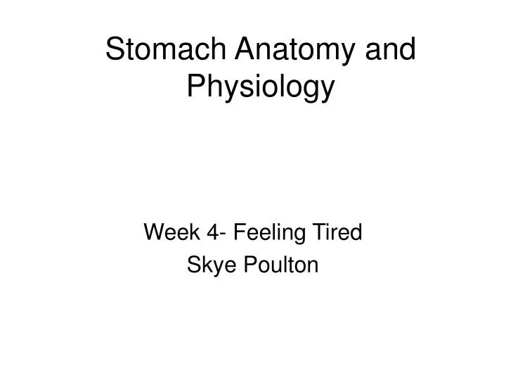 stomach anatomy and physiology