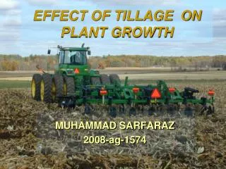 EFFECT OF TILLAGE ON PLANT GROWTH