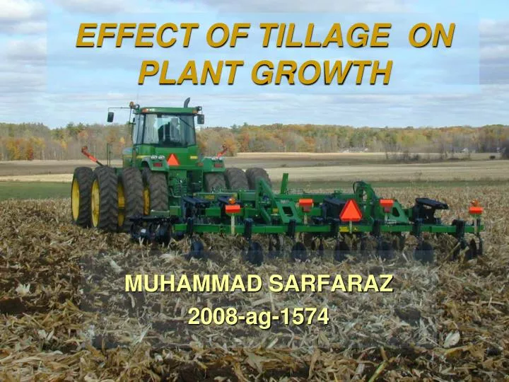 effect of tillage on plant growth