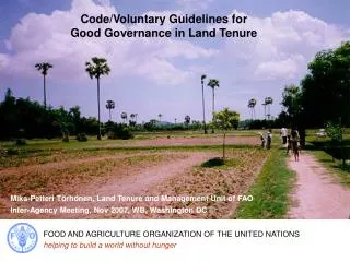 FOOD AND AGRICULTURE ORGANIZATION OF THE UNITED NATIONS
