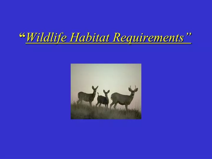 wildlife habitat requirements