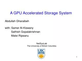 A GPU Accelerated Storage System