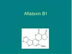 Aflatoxin B1 - slide 1