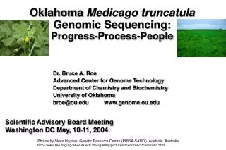 Oklahoma Medicago truncatula Genomic Sequencing: Progress-Process-People