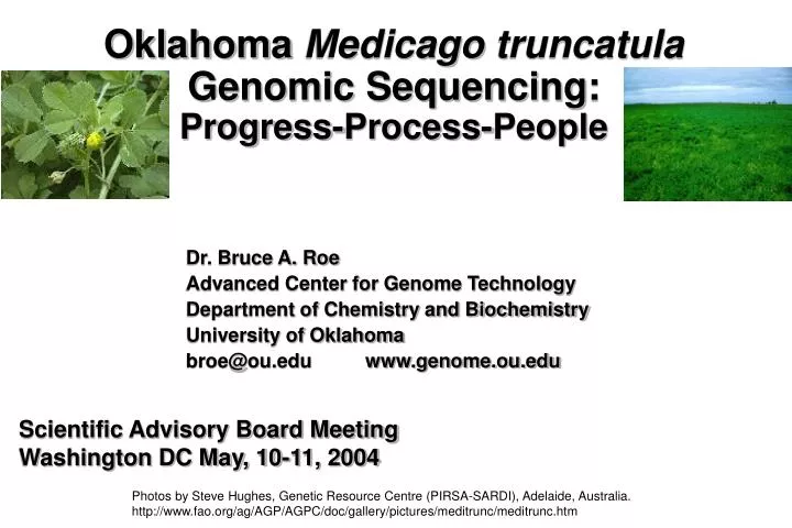 oklahoma medicago truncatula genomic sequencing progress process people