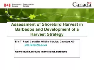 Assessment of Shorebird Harvest in Barbados and Development of a Harvest Strategy