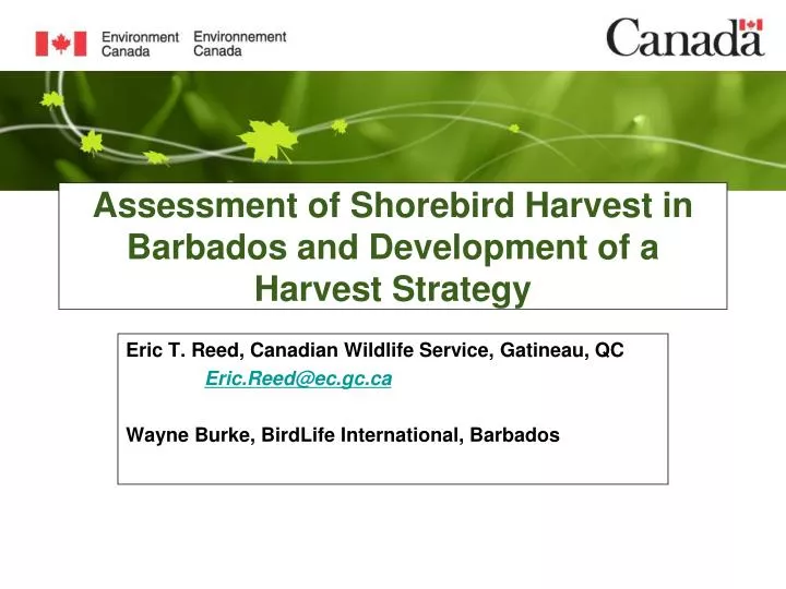 assessment of shorebird harvest in barbados and development of a harvest strategy