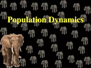 population dynamics