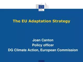 the eu adaptation strategy