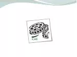 Coll - slide 1