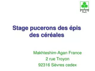 stage pucerons des pis des c r ales