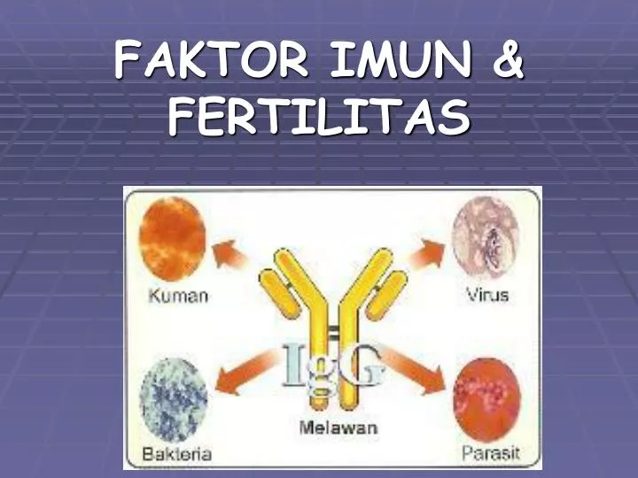 faktor imun fertilitas