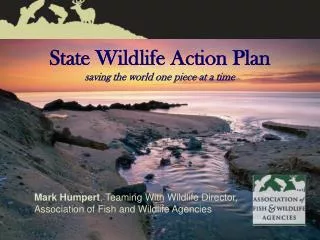 State Wildlife Action Plan saving the world one piece at a time
