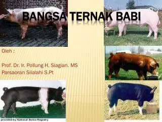 oleh prof d r ir pollung h siagian ms parsaoran silalahi s pt