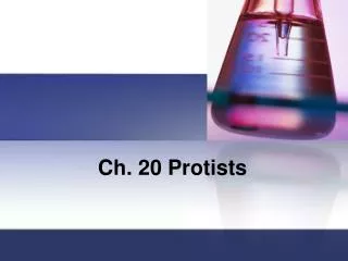 Ch. 20 Protists