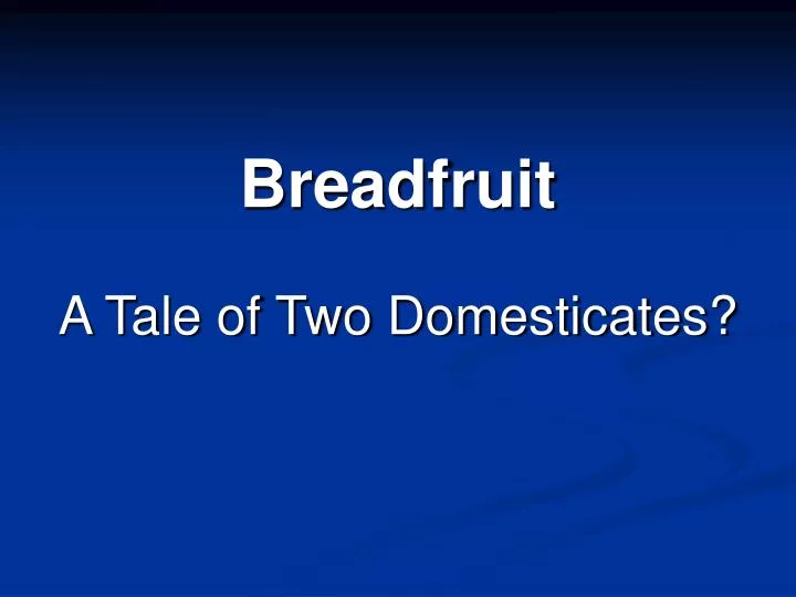 breadfruit