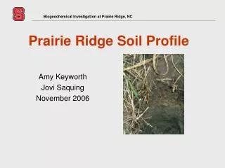 Biogeochemical Investigation at Prairie Ridge, NC