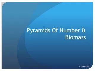 Pyramids Of Number &amp; Biomass
