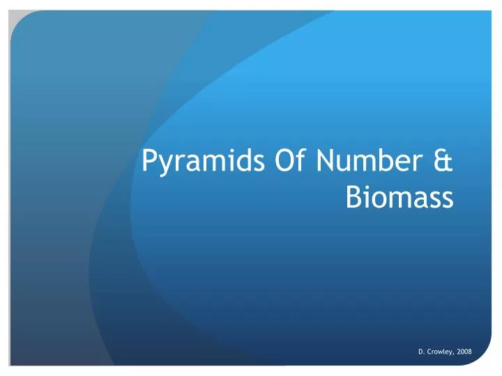 pyramids of number biomass