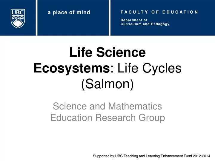 life science ecosystems life cycles salmon