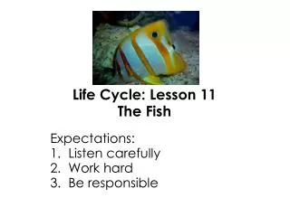 Life Cycle: Lesson 11 The Fish