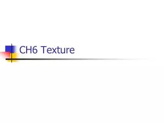 CH6 Texture