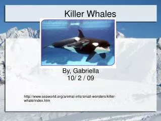 Killer Whales