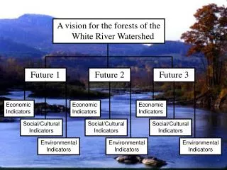 A vision for the forests of the White River Watershed