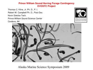 Prince William Sound Herring Forage Contingency EVOSTC Project