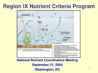 Region IX Nutrient Criteria Program