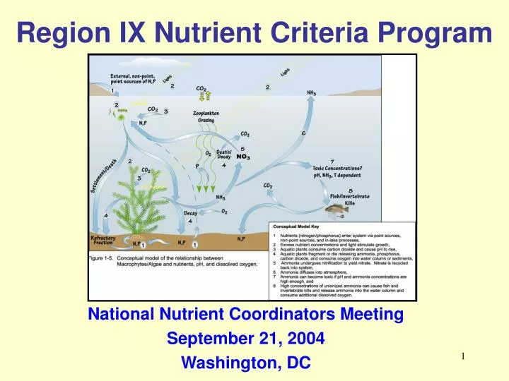 region ix nutrient criteria program