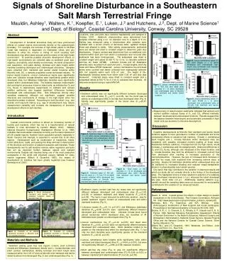 Signals of Shoreline Disturbance in a Southeastern Salt Marsh Terrestrial Fringe