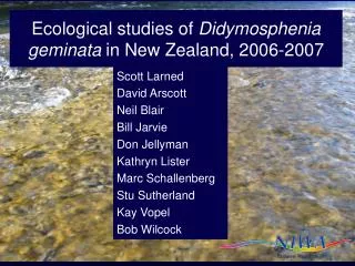 Ecological studies of Didymosphenia geminata in New Zealand, 2006-2007